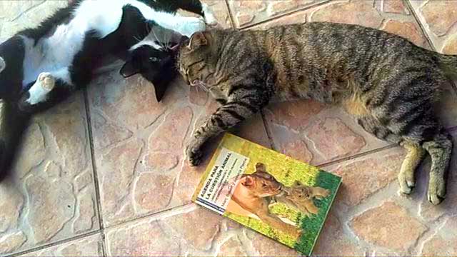 animal-cuestion-agenda-libro