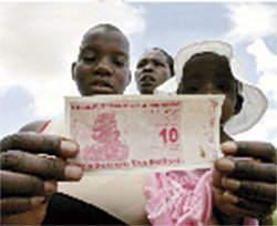 dolares-zimbabuenses