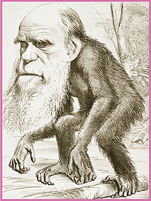 caricatura-darwin