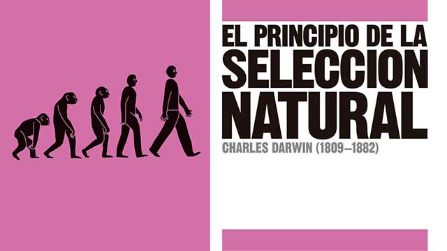 El principio de la selección natural. Charles Darwin |