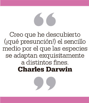 Creo que he descubierto (¡qué presunción!) el sencillo medio por el que las especies se adaptan exquisitamente a distintos fines. Charles Darwin