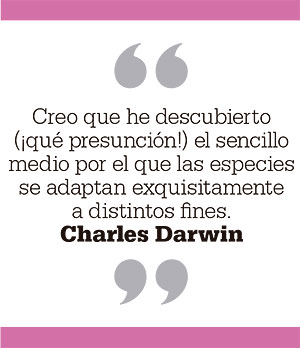 Creo que he descubierto (¡qué presunción!) el sencillo medio por el que las especies se adaptan exquisitamente a distintos fines. Charles Darwin