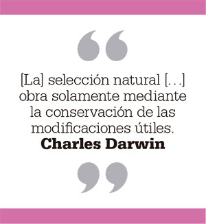 [La] selección natural […] obra solamente mediante la conservación de las modificaciones útiles. Charles Darwin