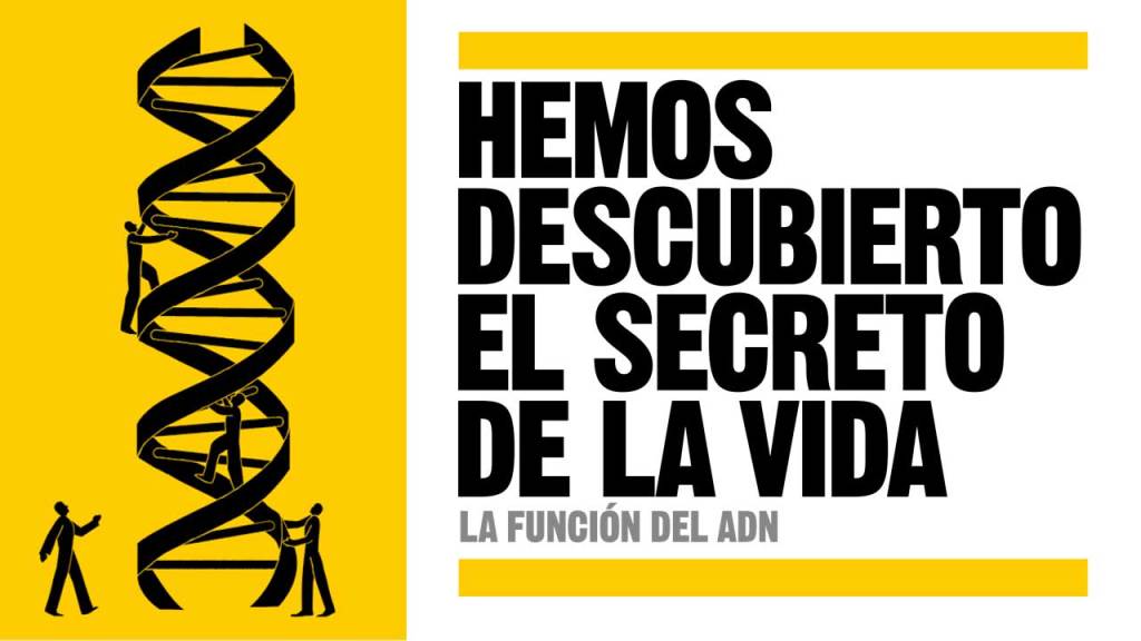 ADN: estructura y descubrimiento |