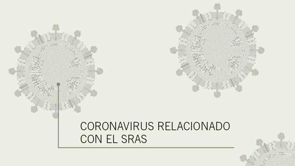 coronavirus-sras