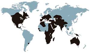 virus-nilo-occidental-mapa-mundo