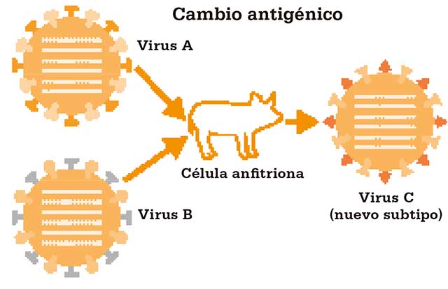 Cambio antigénico