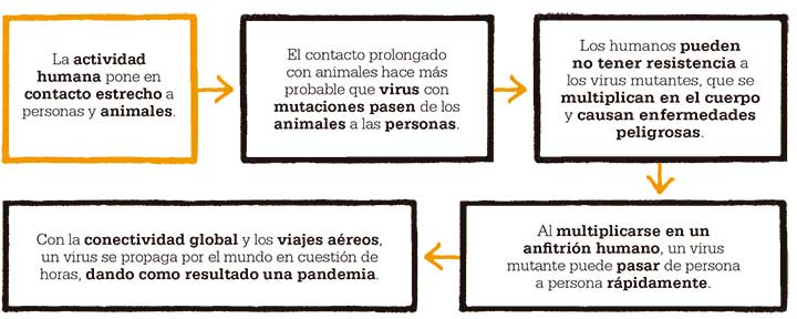 pandemia-transmision